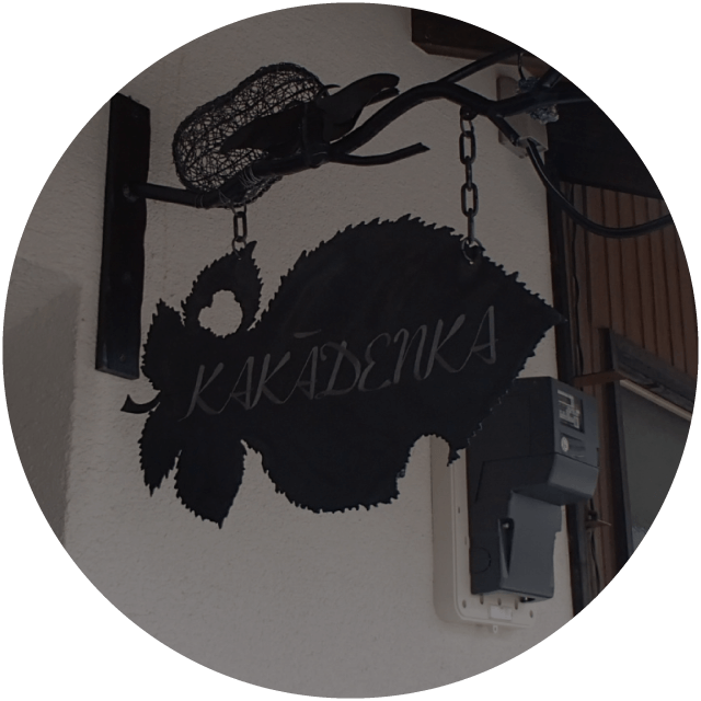 実績案内